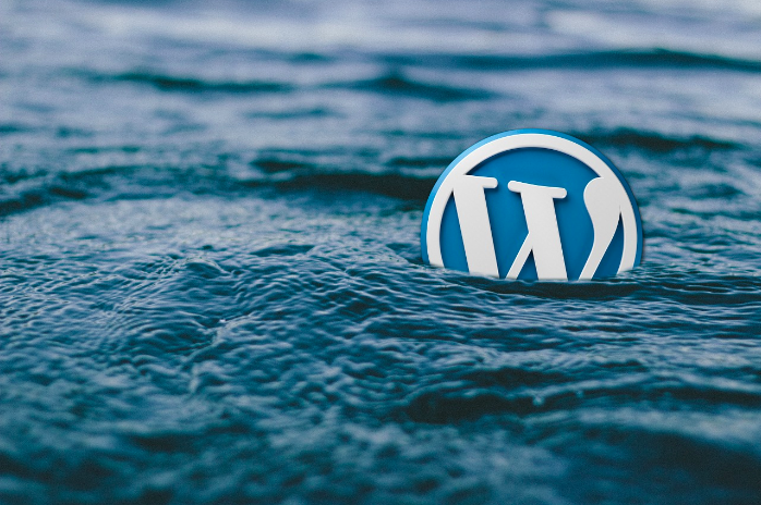 WordPress logo floating in water.
