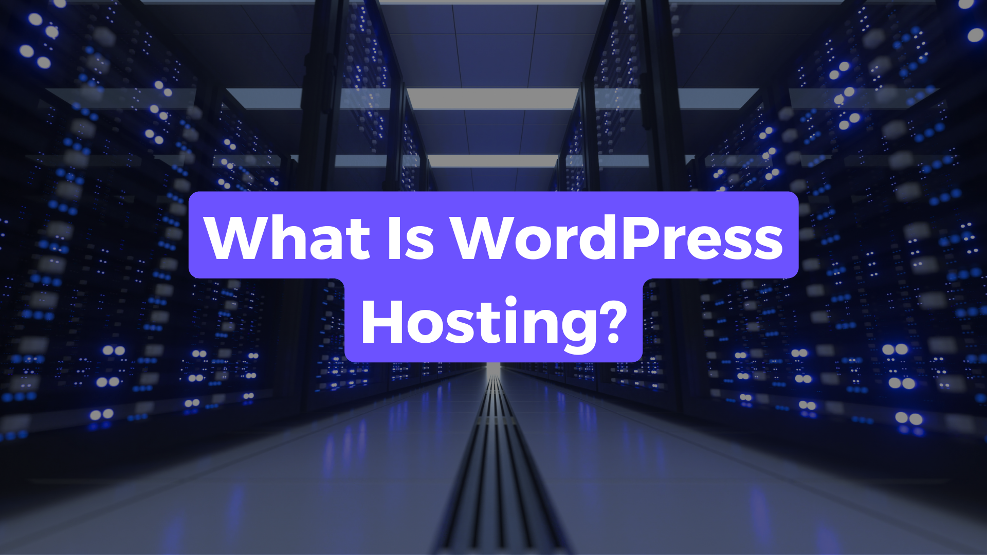What is wordpress hosting webpower